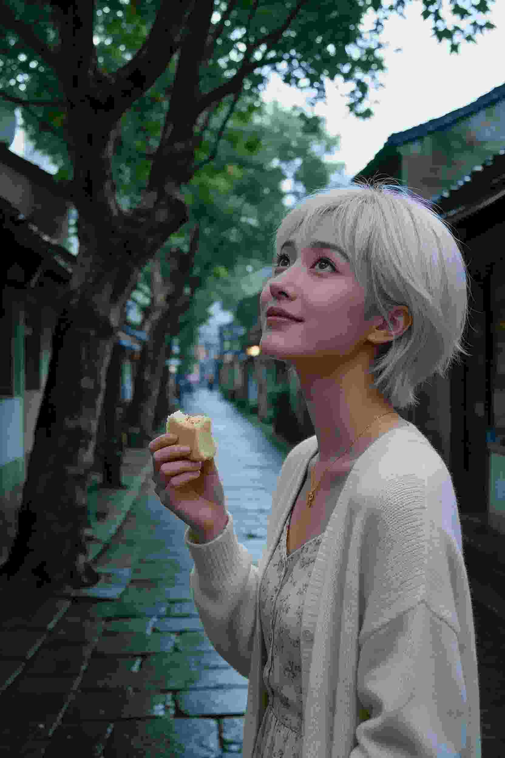 《月下相思梦》